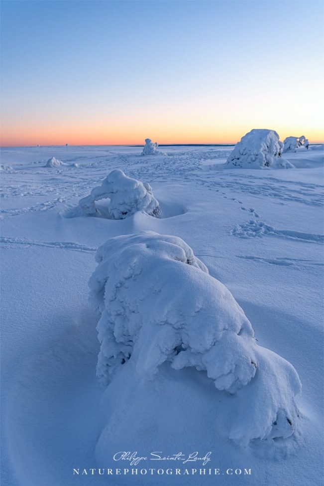 First Light of Morning