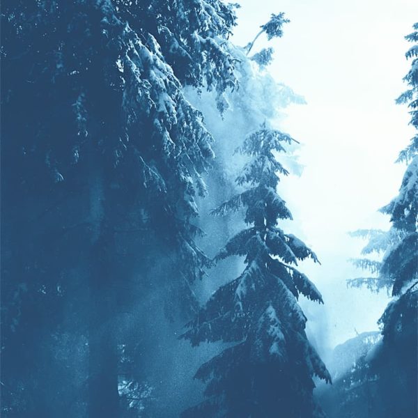 Ghostly Nature Ghostly Nature