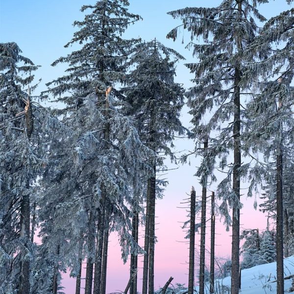 Light of Love Light of Love