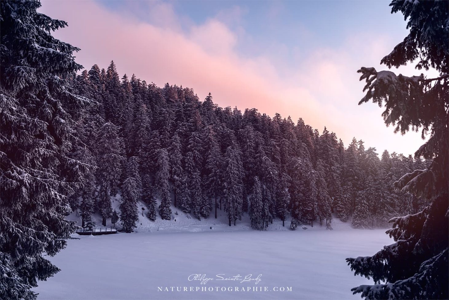 Like A Million Dreams