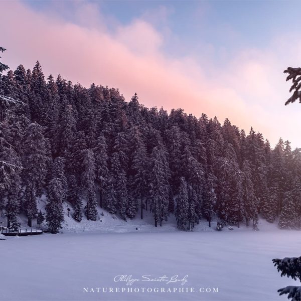 Like A Million Dreams Like A Million Dreams