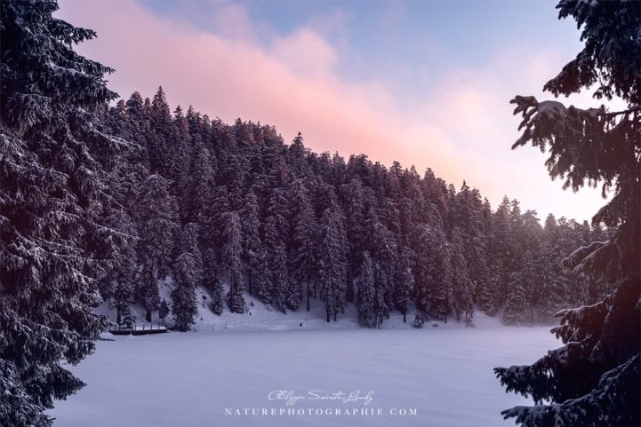 Like A Million Dreams