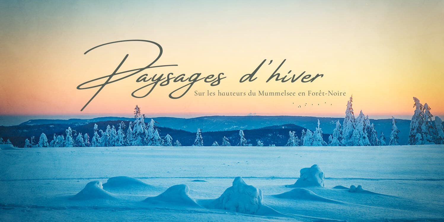 Paysages-d'hiver-en-Forêt-Noire