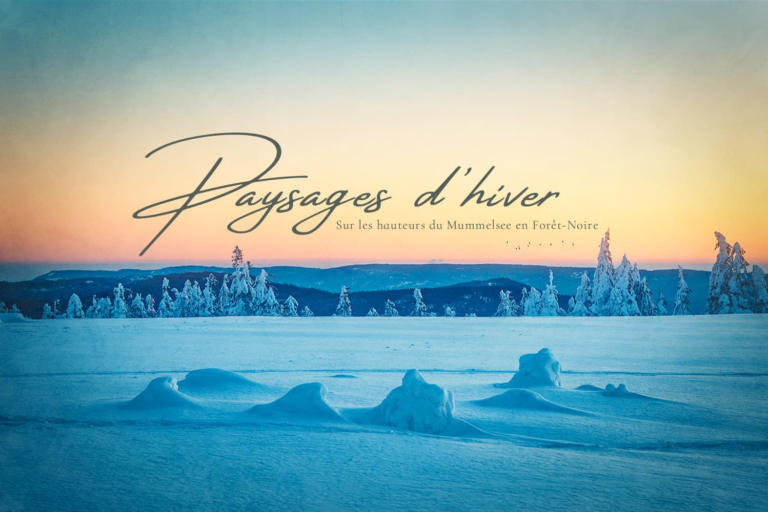 Paysages-d'hiver-en-Forêt-Noire