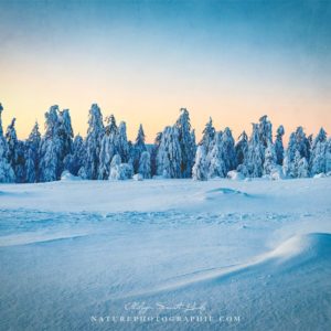 Peaceful Wintermood Peaceful Wintermood