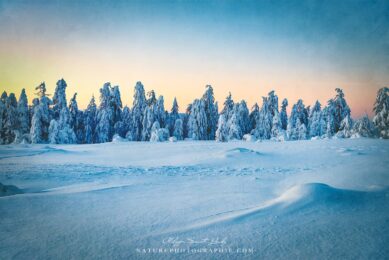 Peaceful Wintermood