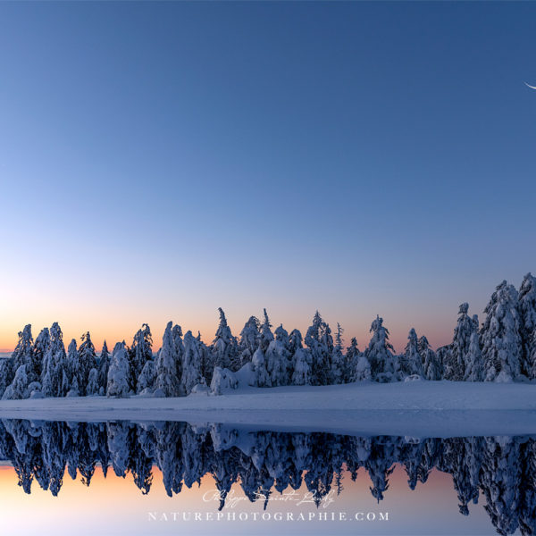 Perfect Symmetry Perfect Symmetry