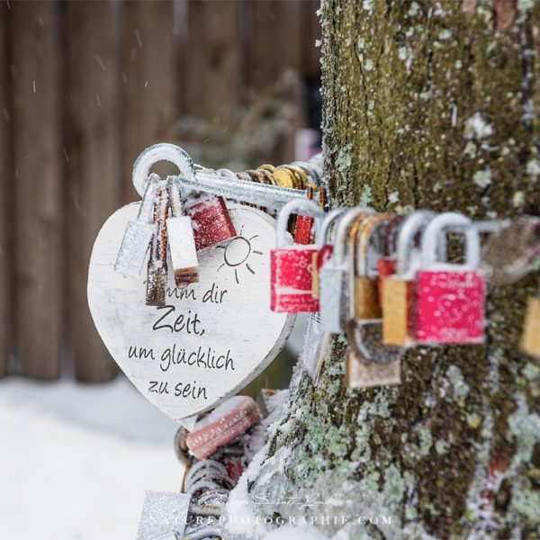 Prendre le temps d’être heureux Prendre le temps d'être heureux