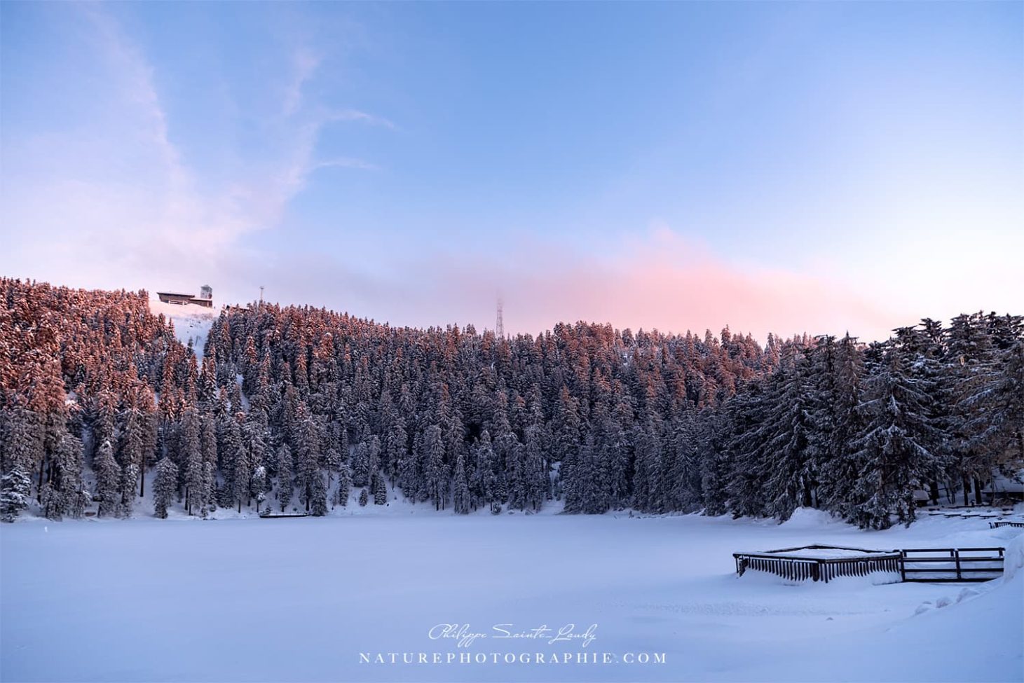 Tell Your Story Walking