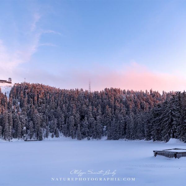 Tell Your Story Walking Tell Your Story Walking