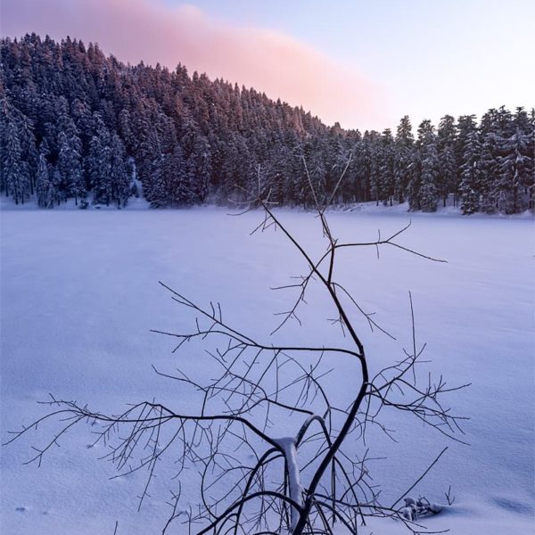 Tha Answer Tha Answer