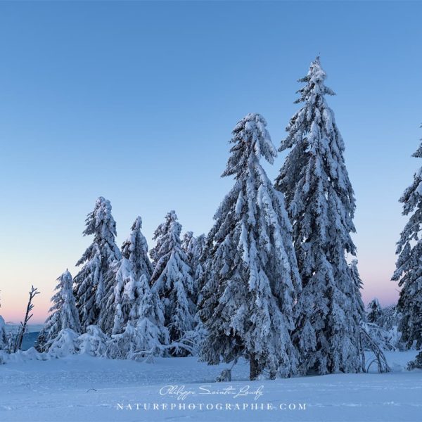 Turned to the Light Turned to the Light