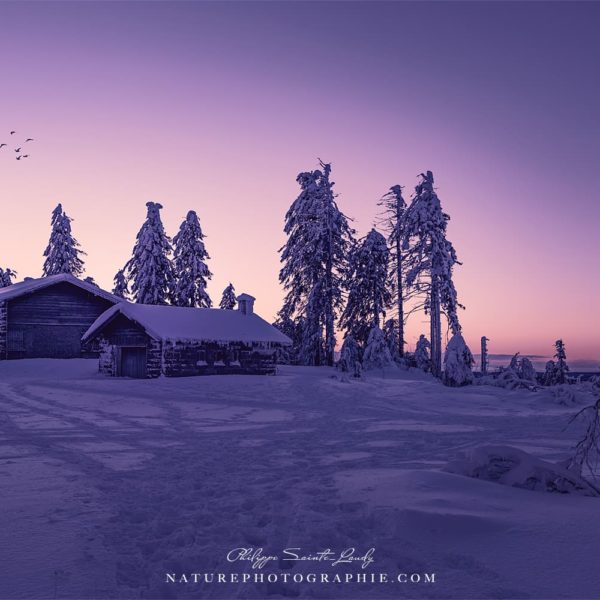 Up From the Sky Up From the Sky