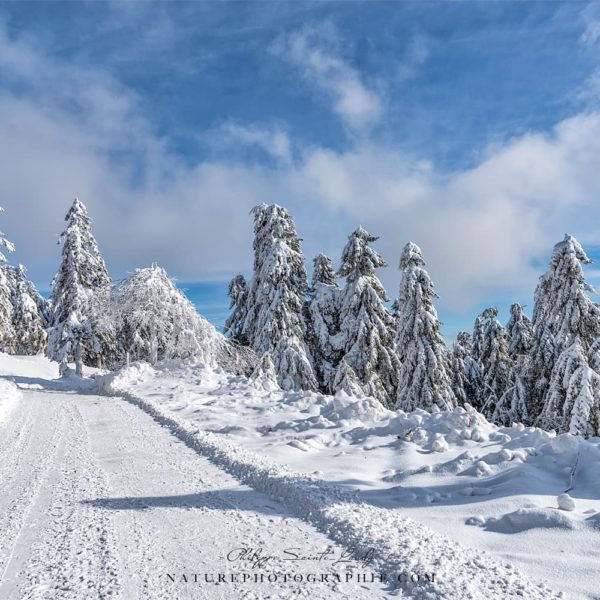Walk to the Clouds Walk to the Clouds