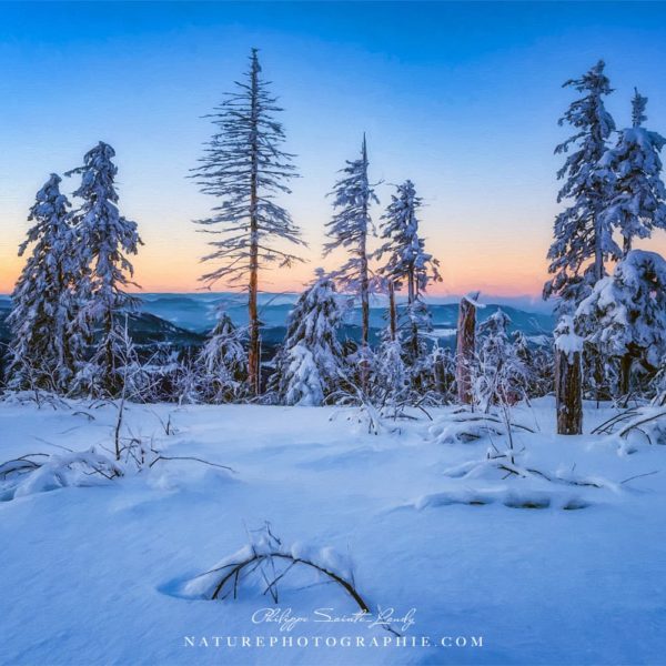 Winter Attire Winter Attire