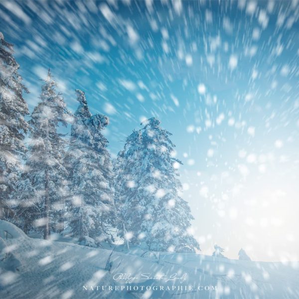 Winter Blast Winter Blast