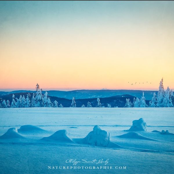 Winter Trail Winter Trail