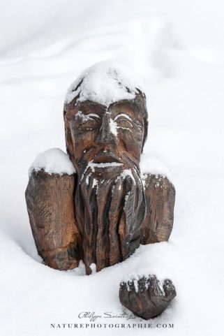 Wooden Sculpture Around Lake Mummel