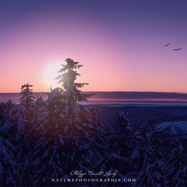 You Got Your Mark on Me You Got Your Mark on Me