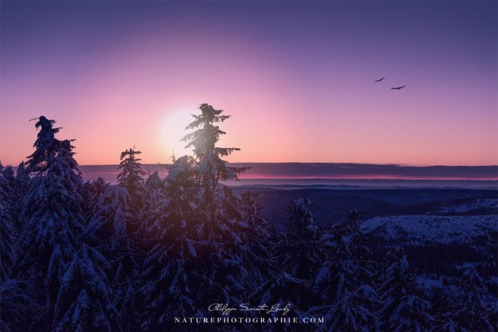 You Got Your Mark on Me