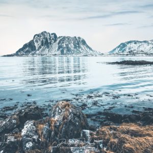 A Better Day is Coming A Better Day is Coming