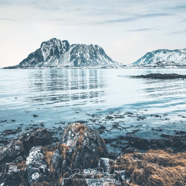 A Better Day is Coming A Better Day is Coming