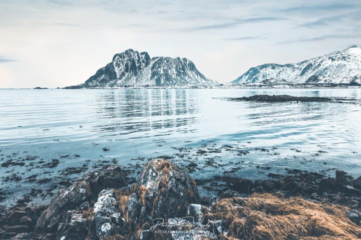 A Better Day is Coming