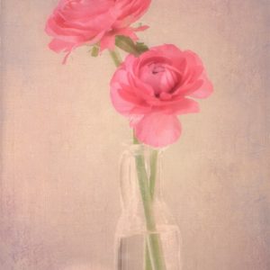 Lost in Love Lost in Love