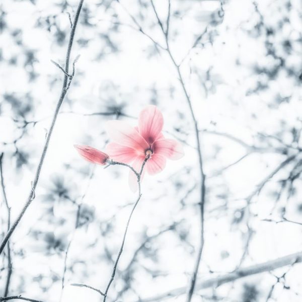 Next Thing Next Thing