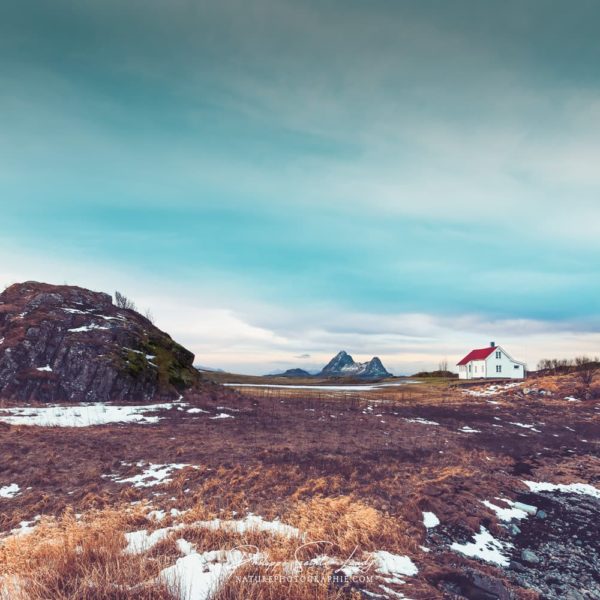 One Way Ticket One Way Ticket