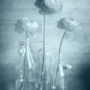 Price is Right Price is Right