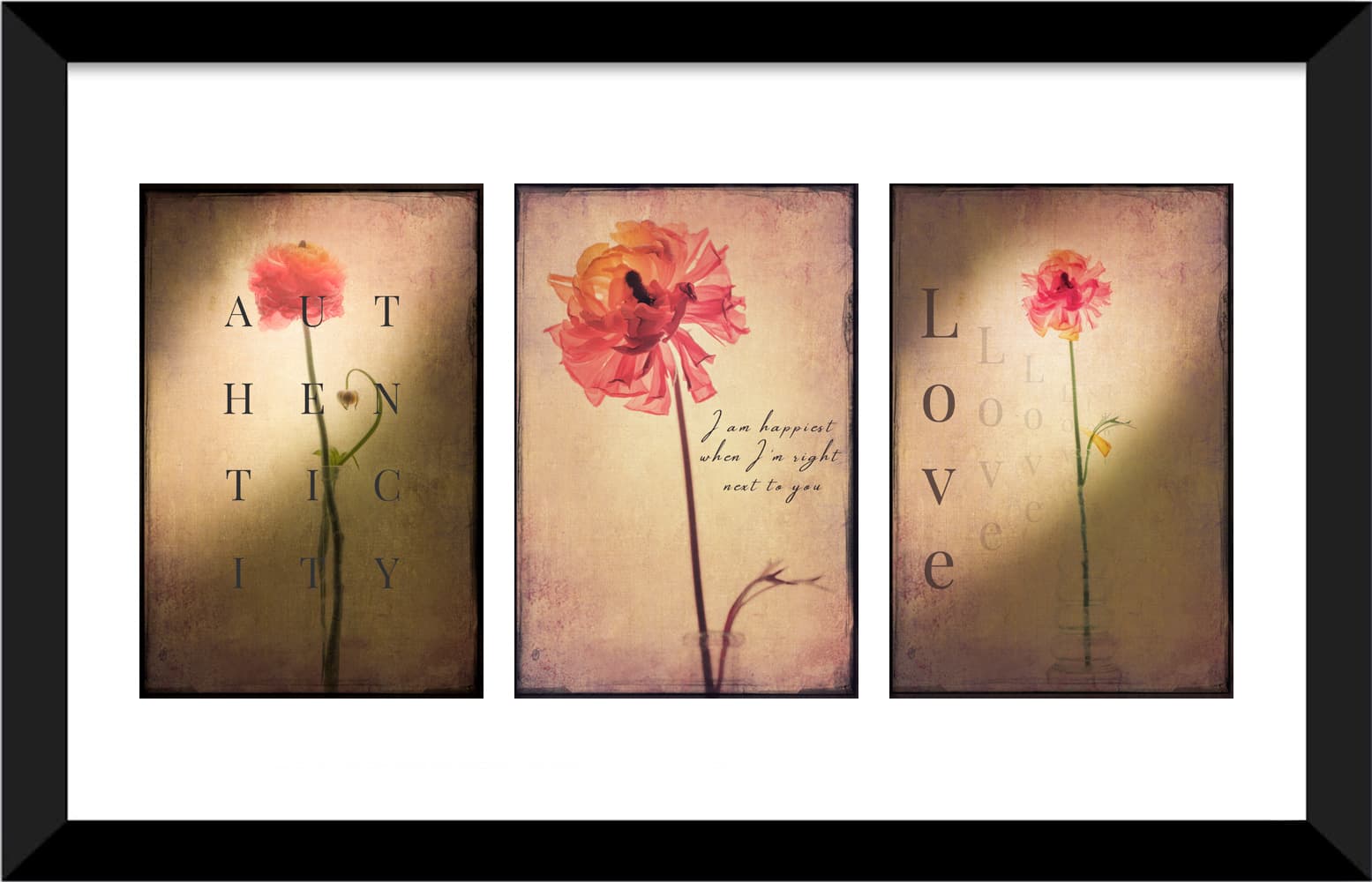 Ranunculus Ranunculus