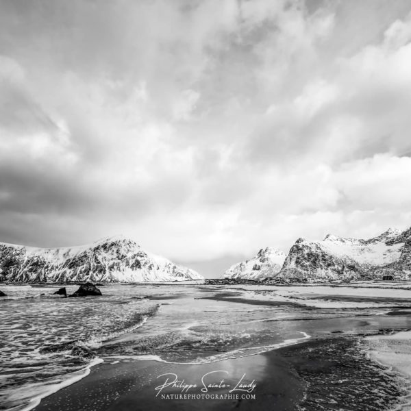 Snow Timeless Snow Timeless