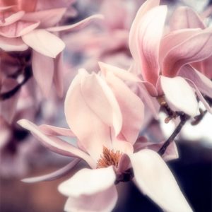 Something Sweet Something Sweet