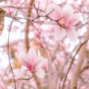 Waiting for your Love Waiting for your Love