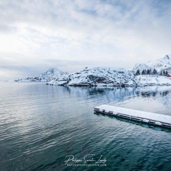 Watching Over Watching Over