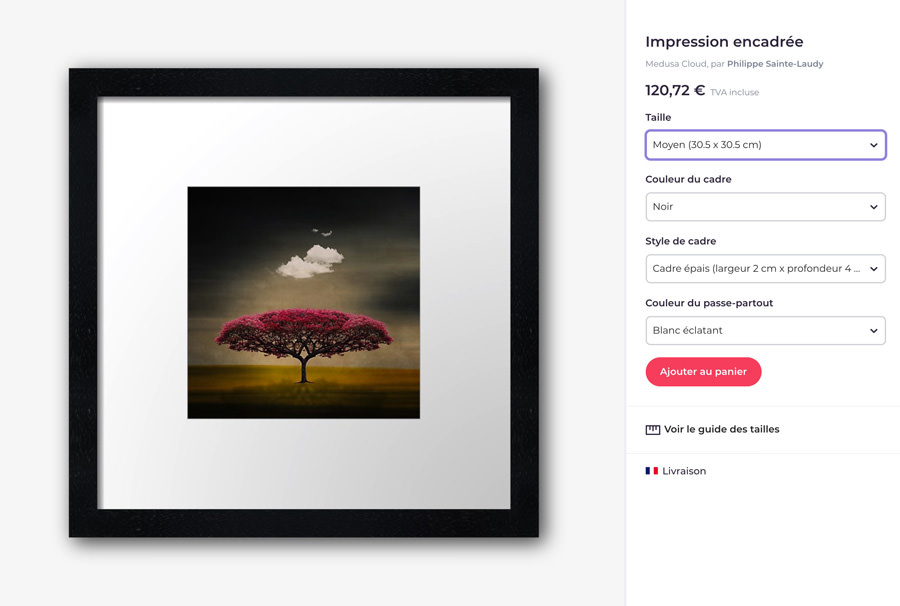 Medusa Cloud encadrée