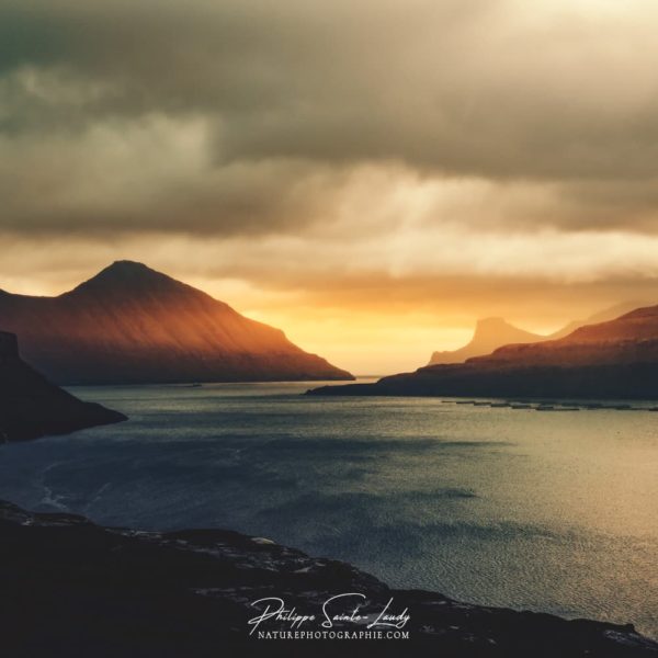 Silent Voice Silent Voice