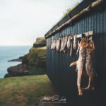 Dried fish