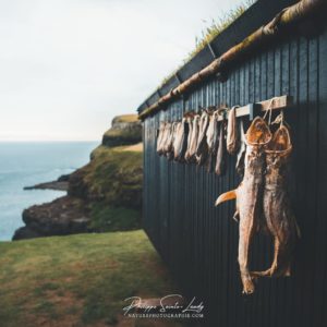 Dried fish Dried fish