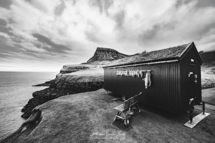 Gásadalur Black and White.