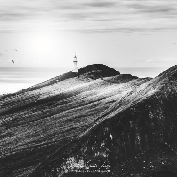 Mykines in Black Mykines in Black