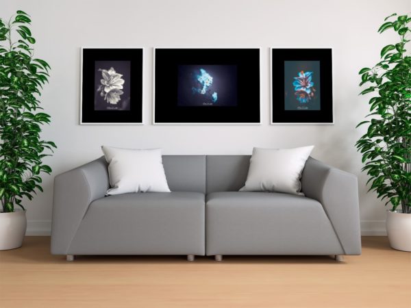 Photos de fleurs Photos de fleurs