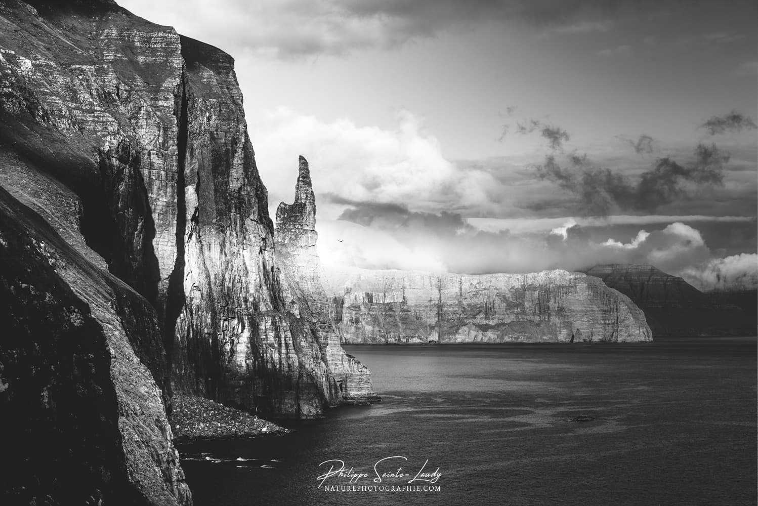 Photos Noir Et Blanc La Galerie Photo De Nature Photographie