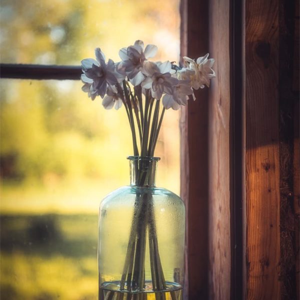 A Message Un bouquet de narcisses dans un vase près d'une fenêtre.