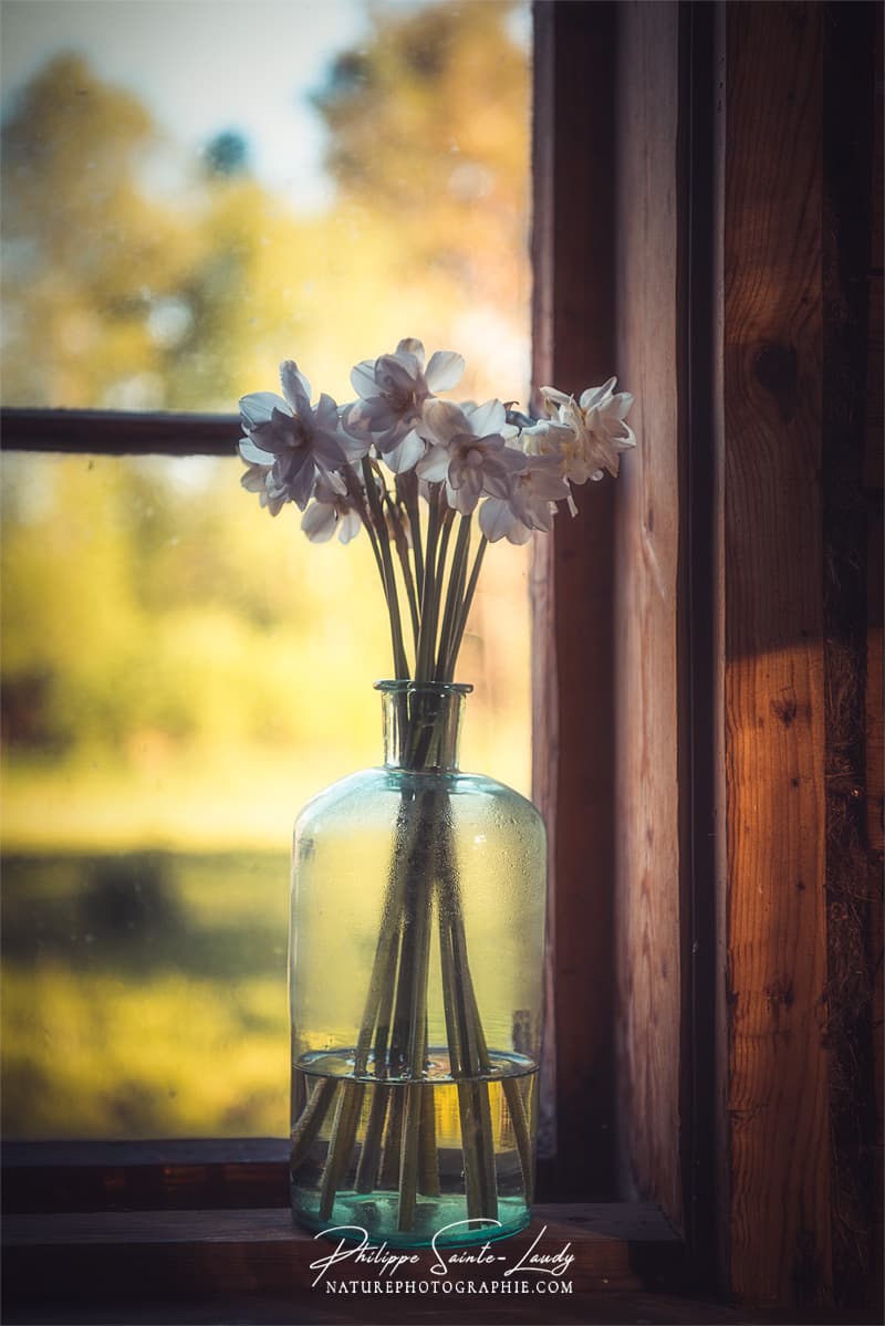 Un bouquet de narcisses dans un vase près d'une fenêtre.