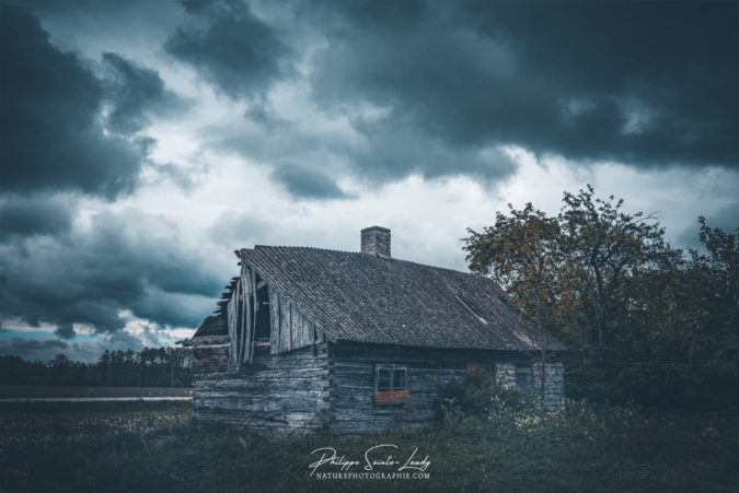 La campagne en Estonie