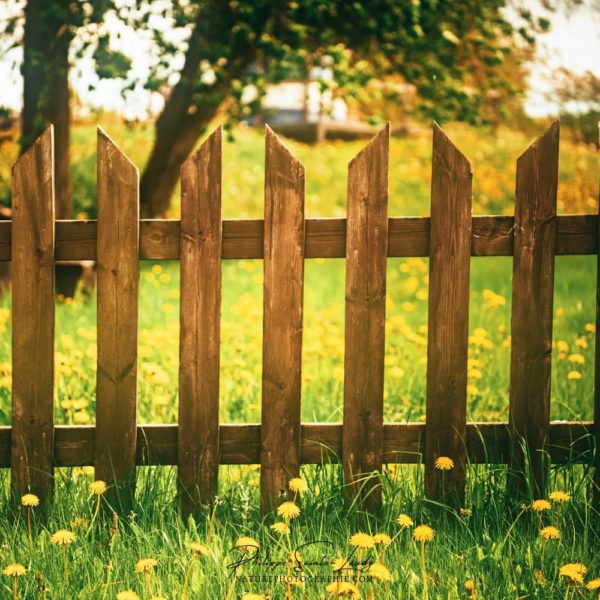 Barrier in the Greenery Barrière devant un champs en Estonie