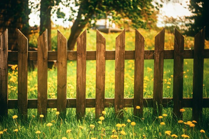 Barrière devant un champs en Estonie