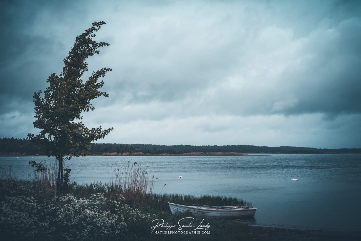 Paysage d'orage en Estonie sur l'île de Saaremaa